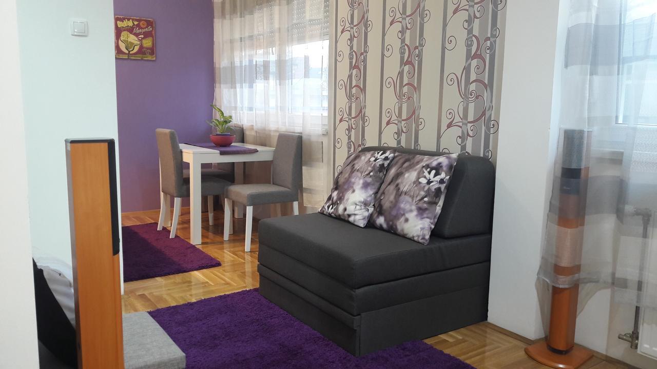 Studio Lia Apartment Novi Sad Bagian luar foto