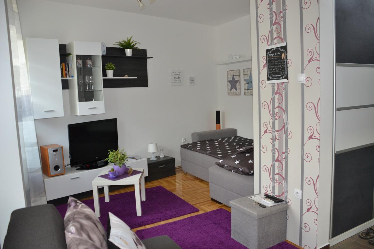 Studio Lia Apartment Novi Sad Bagian luar foto