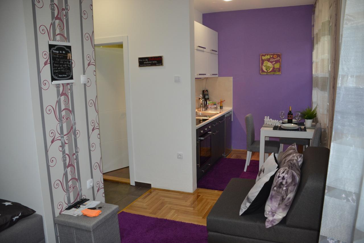 Studio Lia Apartment Novi Sad Bagian luar foto