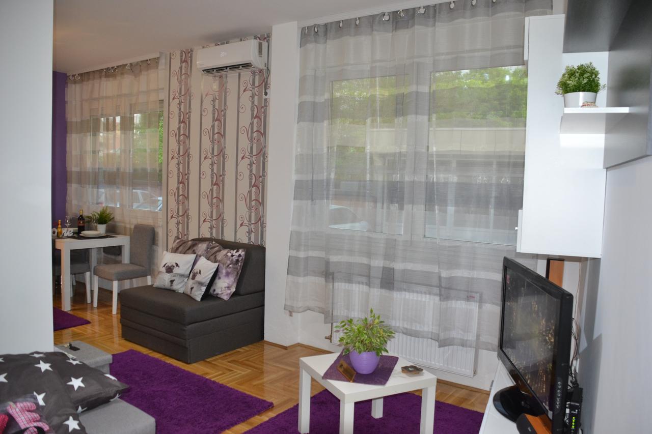 Studio Lia Apartment Novi Sad Bagian luar foto