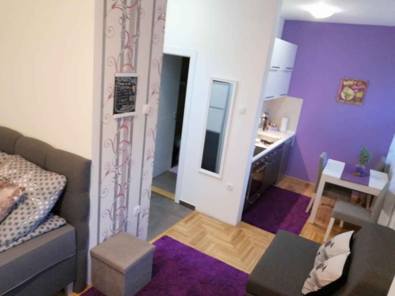 Studio Lia Apartment Novi Sad Bagian luar foto